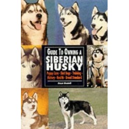 Guide to Owning a Siberian Husky by Montoff, Alexei Paperback Book