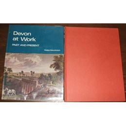 Devon at Work: Past and Present (Picture His... by Minchinton, Walter E Hardback