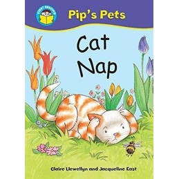 Cat Nap (Start Reading: Pips Pets) by Llewellyn, Claire Paperback Book The