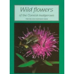 Wild Flowers of the Cornish Hedgerows by Beer, Endymion Paperback Book