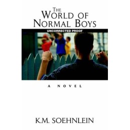 The World of Normal Boys by Soehnlein, K.M. Hardback Book