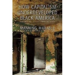How Capitalism Underdeveloped Black America - 9781608465118