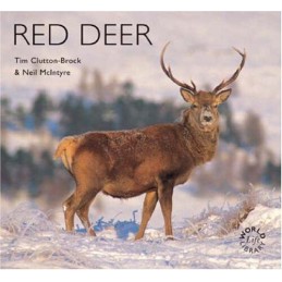 Red Deer (Worldlife Library) by Clutton-Buck, Tim Paperback Book Fast