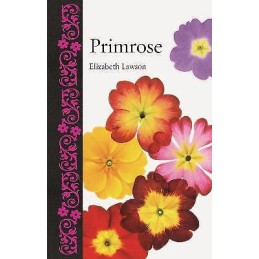 Primrose - 9781789140774